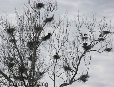 Cuyahoga Valley National Park OH